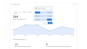 picture of google business profile performance insights